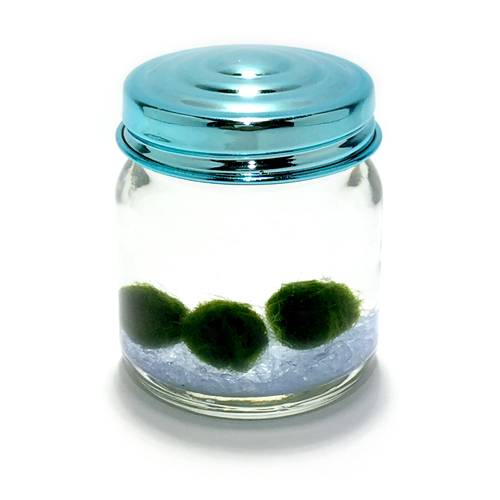 ●【サボ　愛称板】（表）まりも　MARIMO （裏）エルム ELM アルバム 【サボ 愛称板】（表）まりも MARIMO ○釧（裏）エルム